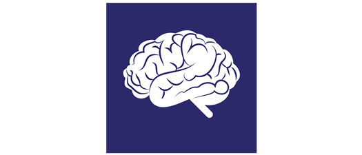 Social Emotional Development Network Business Meeting