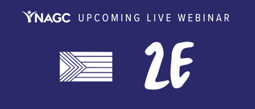 Intersections of Twice-Exceptional and LGBTQIA+ Identities: Two Educators' Perspectives