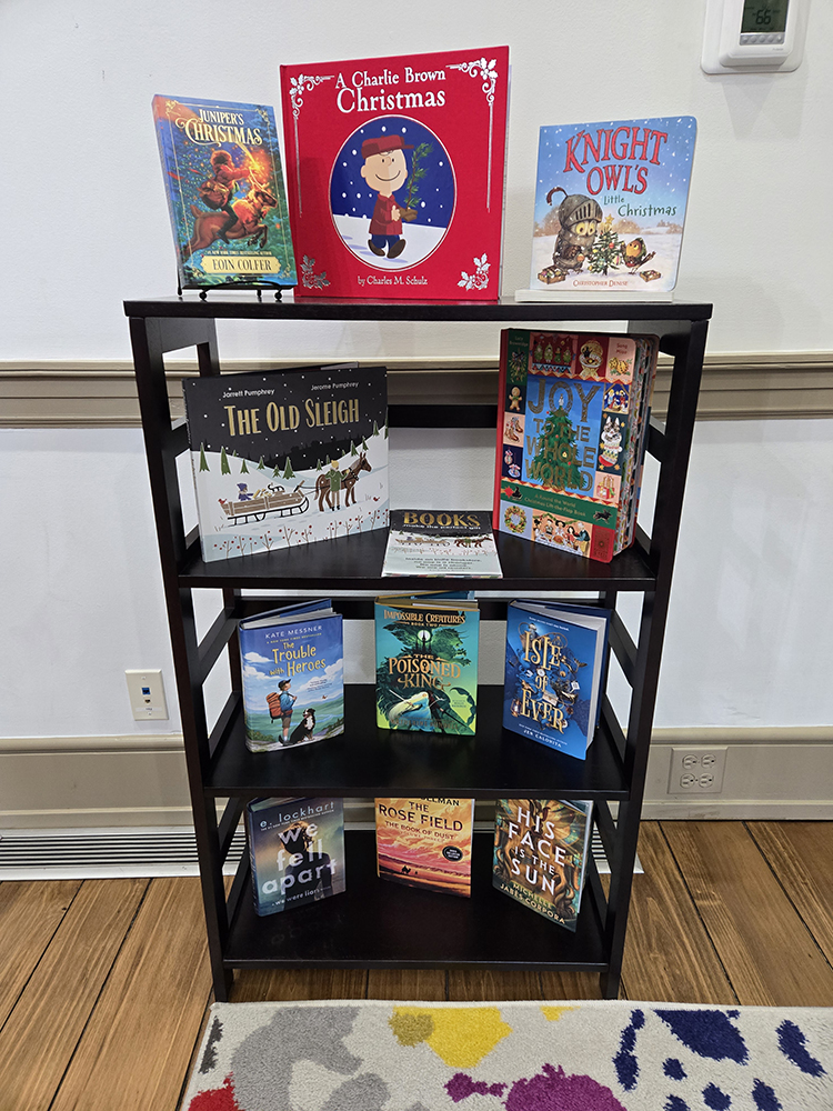 winter catalog bookcase display