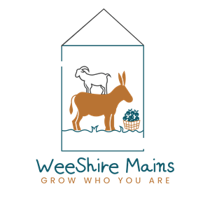 WeeShire Mains