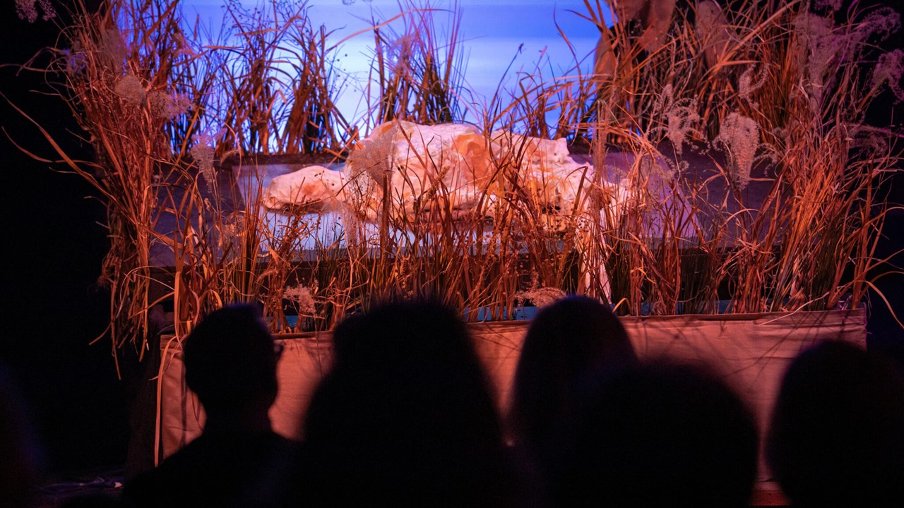 A BODY IN THE WILD GRASS by Kevin Lawler, Commons Season Fall 2024