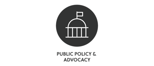 Legal Landscape for Nonpartisan Voter Engagement (Partner, Virtual)