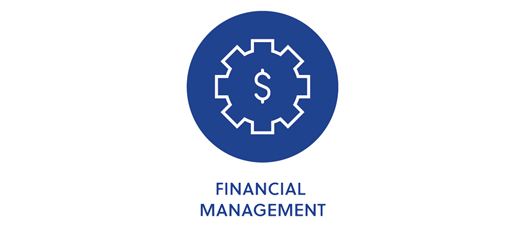 Cash Flow Planning (Virtual)