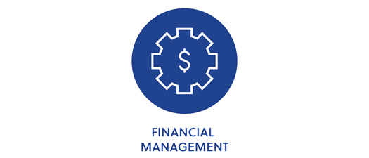 No Money, No Mission: The Importance of Strong Financial Management through Leadership Transitions (Partner, Virtual)