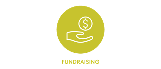 Principles for Ethical Online Funding Platforms (Partner, Virtual)