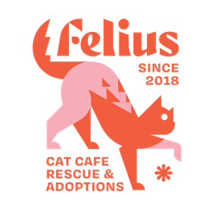 Photo of Felius Cat Cafe
