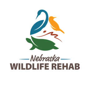 Photo of Nebraska Wildlife Rehab