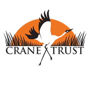Photo of Platte River Whooping Crane/Crane Trust