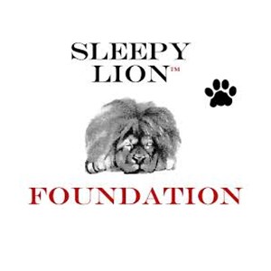Photo of Sleepy Lion Foundation