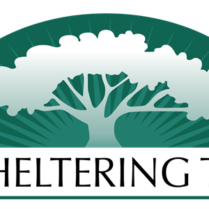 Photo of Sheltering Tree