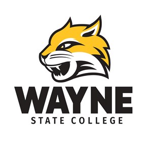 Photo of Wayne State Foundation