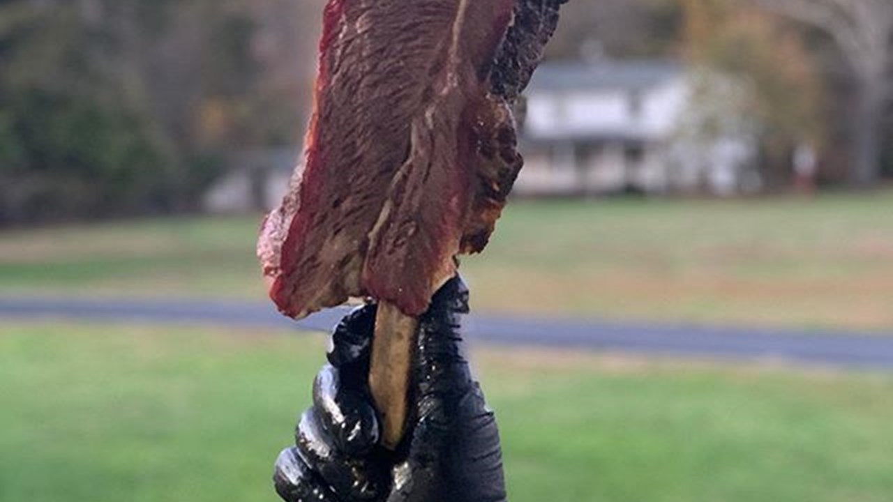 Beef Dino Rib