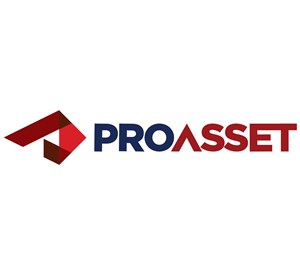 Pro Asset