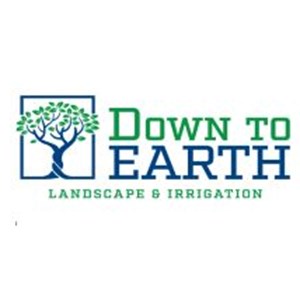 Photo of Down To Earth Landscape