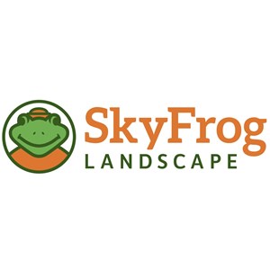 SkyFrog Landscape