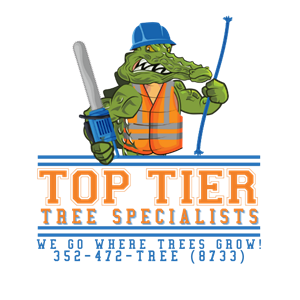 Photo of Top Tier Tree Specialist