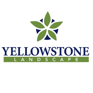 Photo of Yellowstone Landscape