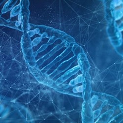 DNA & Databases 101 - Types of DNA and How We Use Them (On-Demand)