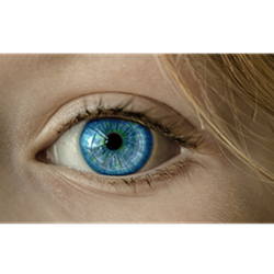 Generative AI Child Sexual Abuse Images - What You Need to Know Now (On-Demand)