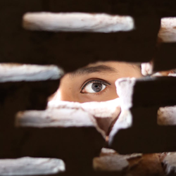 The Hidden Factors of Stalking - Proving your Case with Forensic Analysis (On-Demand)