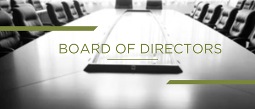 NFFS Board of Directors Meeting - Spring 2026