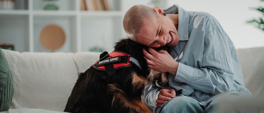 All About Assistance Animals 