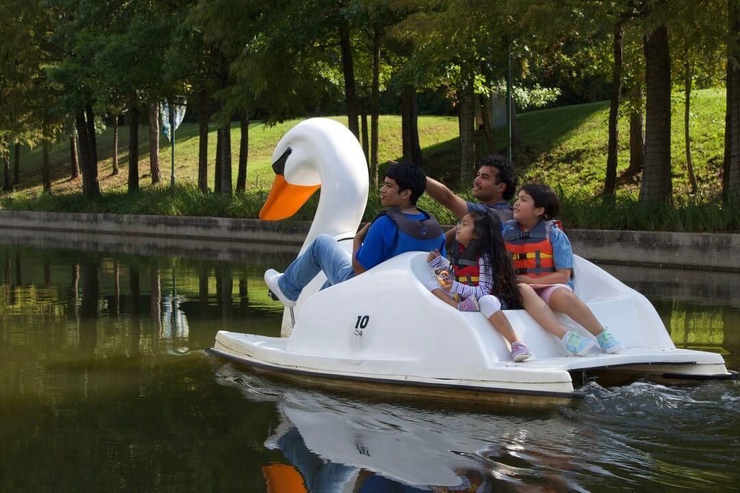 swan boat