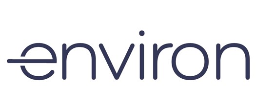 Environ's Energy Buyer's Brief - Partner Event