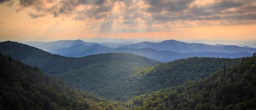 2026 NPFDA Spring Exchange Asheville, NC