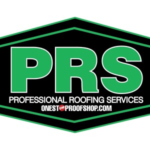 Photo of Professional Roofing Services