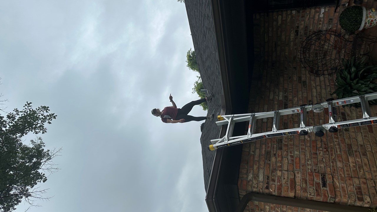 Another day, another roof 🌻