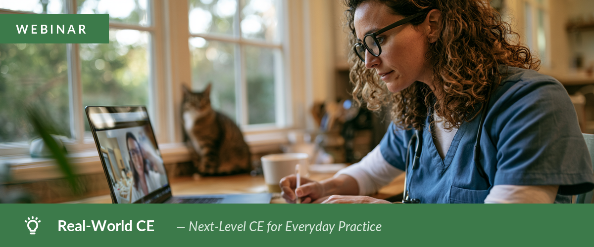 A Conversation to Answer the Money Questions Every New Vet Is Asking