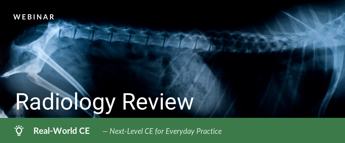Veterinary Radiology Review - Topic: Thoracic Radiographic Interpretation