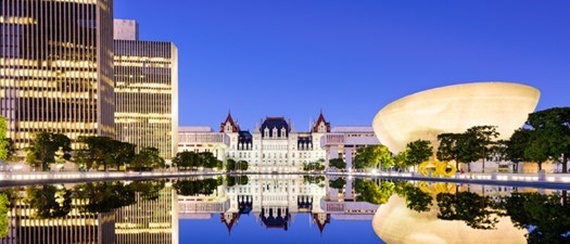 CDVMS In-Person CE Event: Vaccination Guidelines for the General Practitioner AND Lyme Disease - Why Do Blue Dots Happen to Good Dogs?