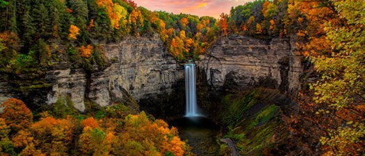 SOTVMA In-Person Lecture: Practical Tips & Tricks in Wound Management