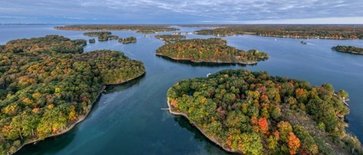 NNYVMS In-Person CE Event: New World Screw Worm USDA Module