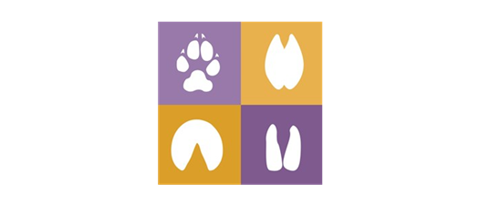 2025 NYS Veterinary Conference