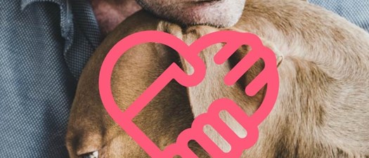 Webinar: Finding Hope in Community: Support Groups for Veterinarians