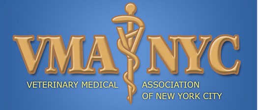 VMA-NYC CE Webinar: Neurolocalization – Lightening Round!! and Neurologic Manifestations of Metabolic Disease – The Great Imposters