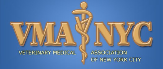 VMA-NYC Event: CE in the City 2023