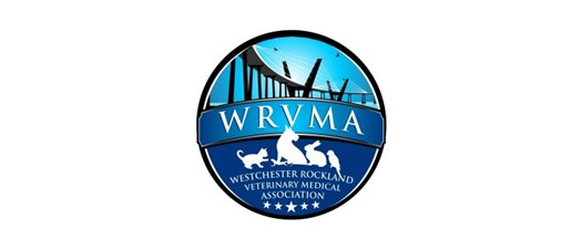 WRVMA Webinar: Tips for Managing Otitis in Dogs & Cats