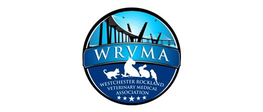 WRVMA 2nd Annual Fall Ball