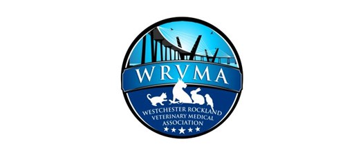 WRVMA Social Event: Boulders vs. ValleyCats Baseball Night