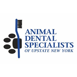 Photo of Animal Dental Specialists of Upstate New York