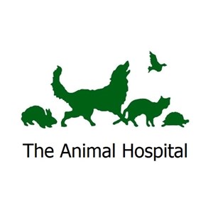 Photo of The Animal Hospital