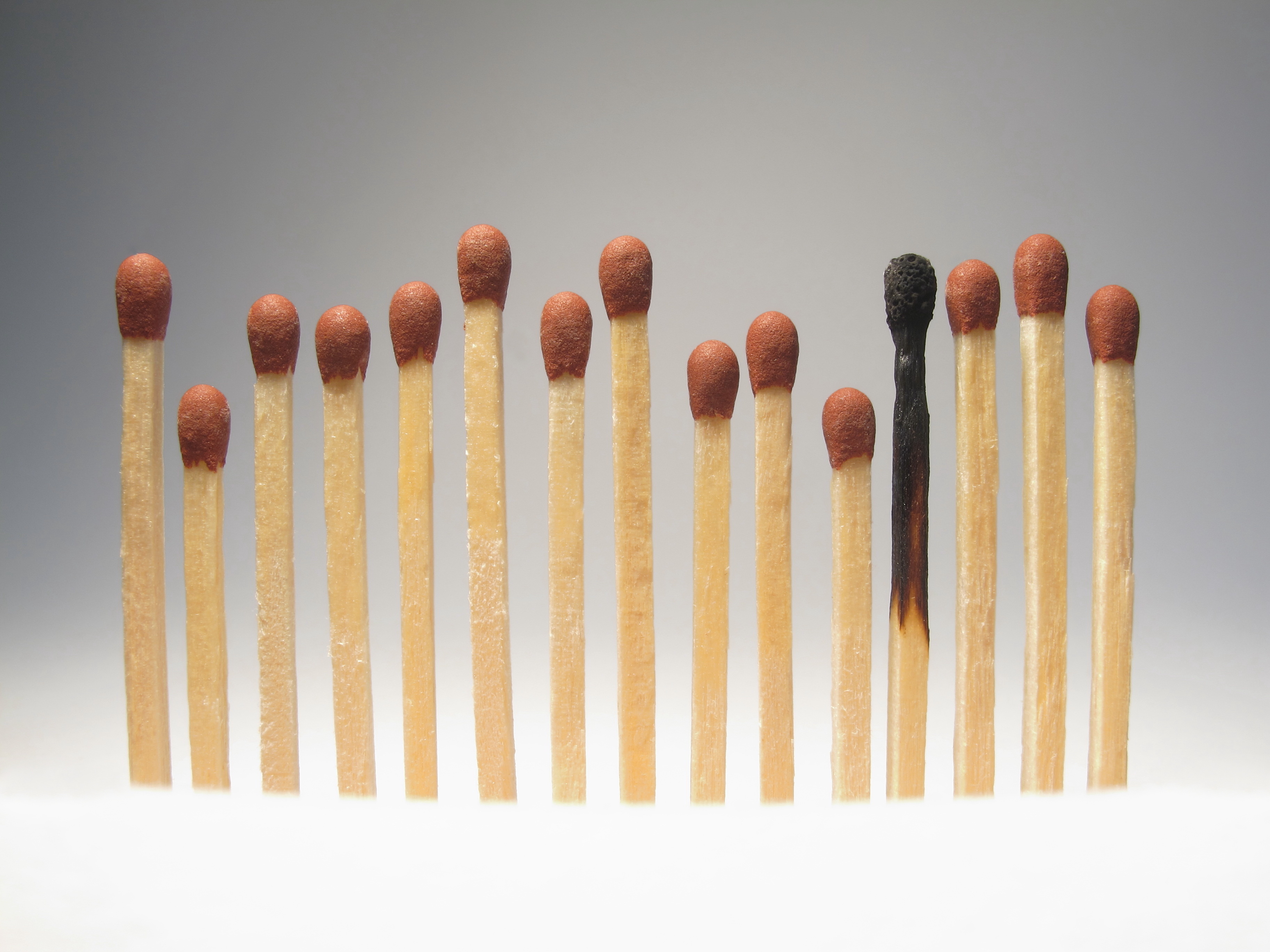 a line of unburnt matches and one burnt match