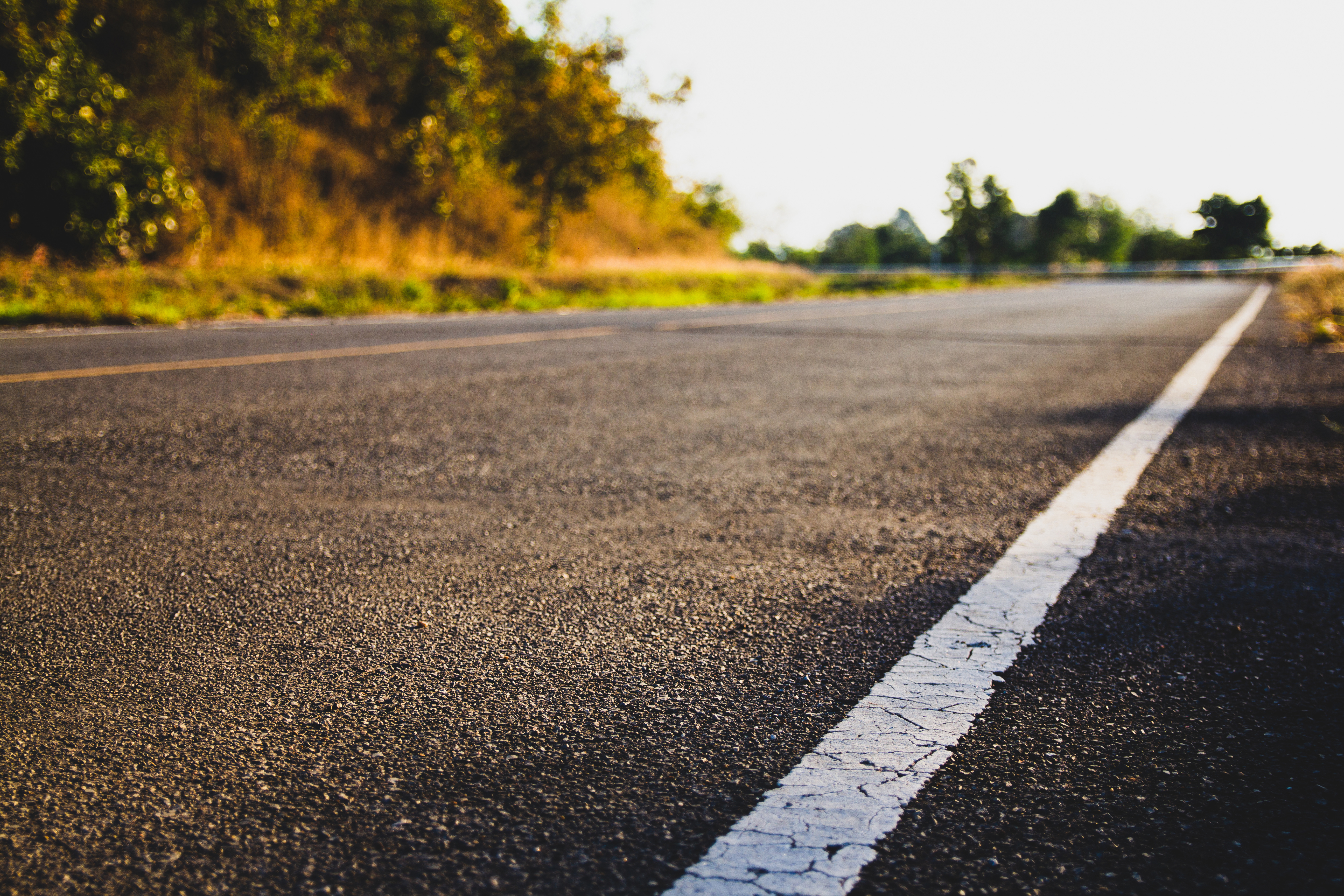 an asphalt road lined with trees