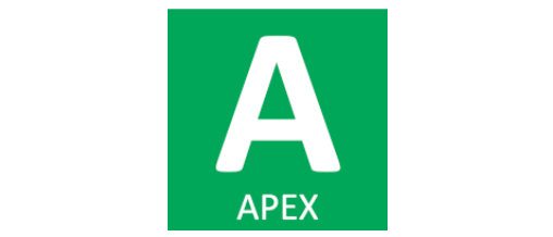 APEX Security Basics