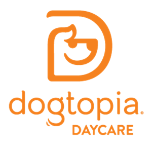 Photo of Dogtopia
