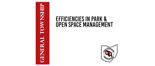 Efficiencies in Park & Open Space Management